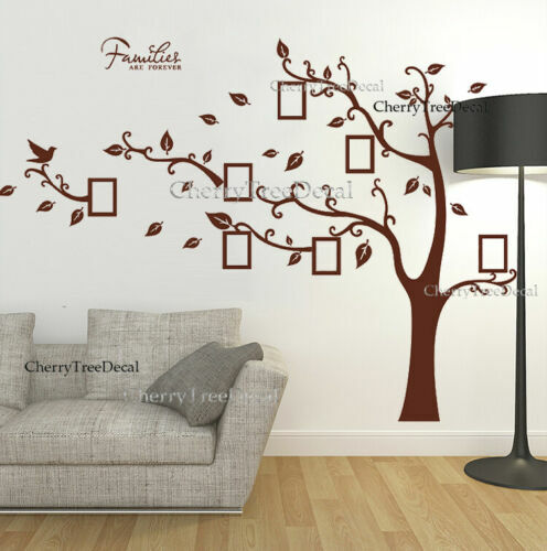 Grande cornice foto albero - cornice,