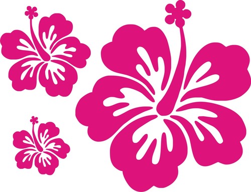 Adesivi murali auto fiore - adesivi,